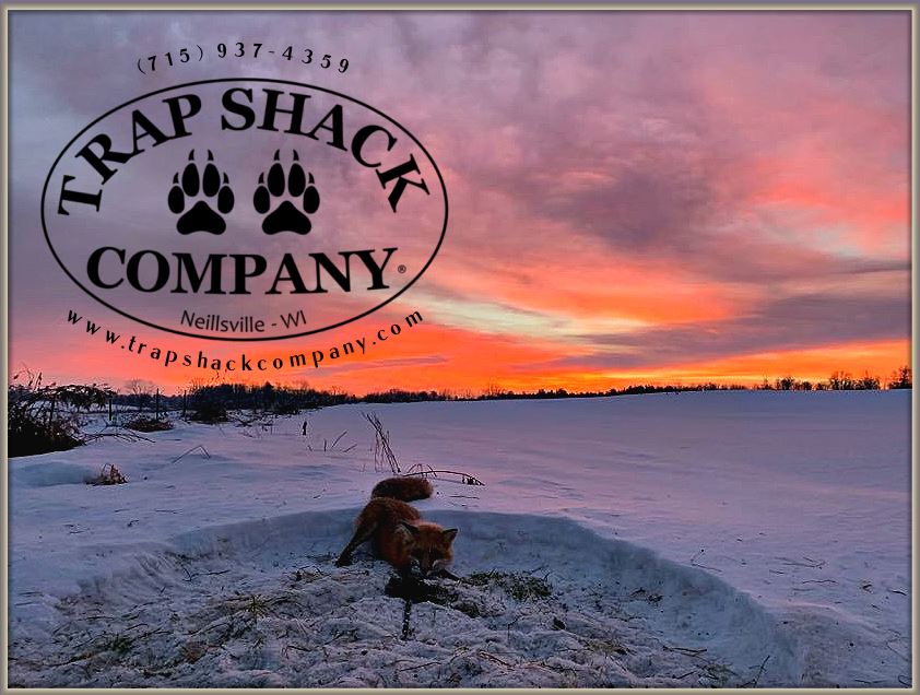 Trap Shack Company  Your Online Source for Trapping Supplies