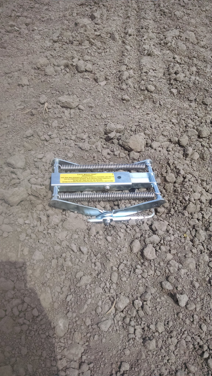 Mole Eliminator Trap – Trap Shack Company