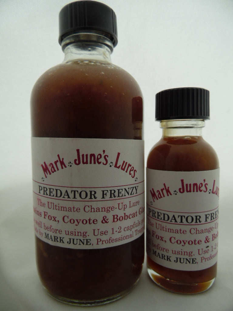 Mark June's Fox Frenzy Gland Lure - 1 Oz Jar For Coyote & Fox Trapping (Made In USA)